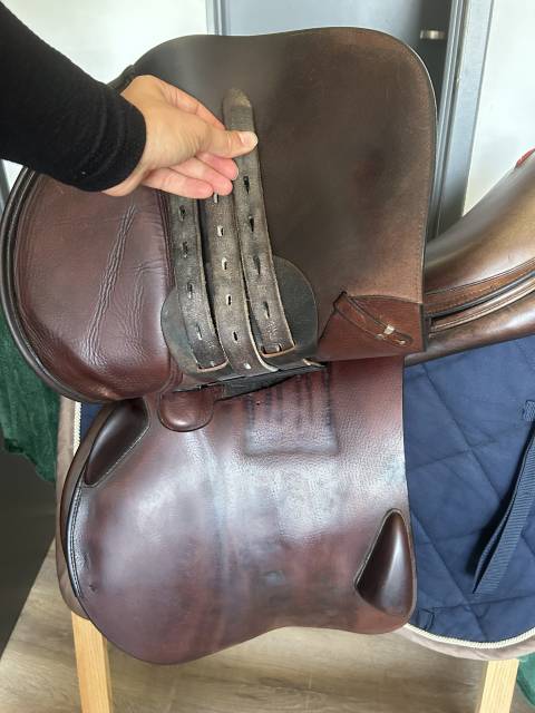 Selle &eacute;quipe sp&eacute;cial one 17,5 de 2022