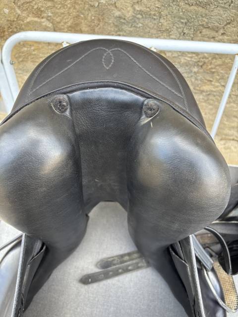 Selle Prestige Italie Venus K-NEW 17"