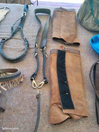 Lot accessoires cheval
