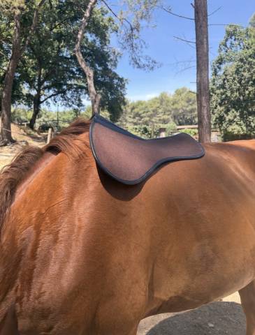 Selle mixte CHILDERIC