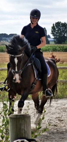 Selle de dressage &Eacute;quipe Emporio 17,5 pouces