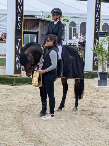 Super poney de 7 ans, &eacute;talon pfs agr&eacute;