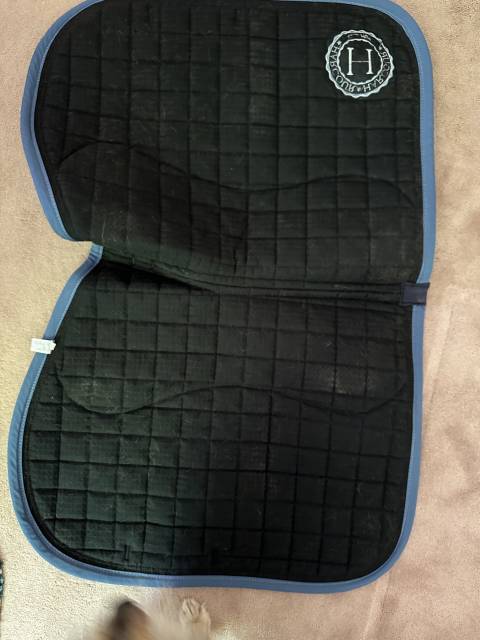 Tapis bleu harcour