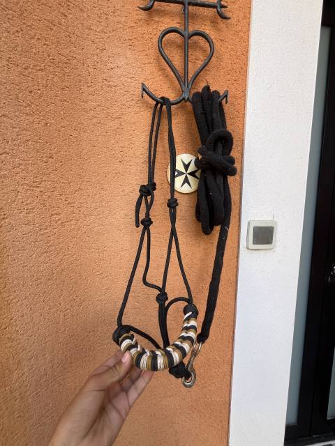 Licol &eacute;thologique + grande longe 