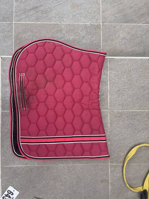 Tapis d&rsquo;&eacute;quitation 