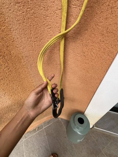 R&ecirc;nes enfant jaunes