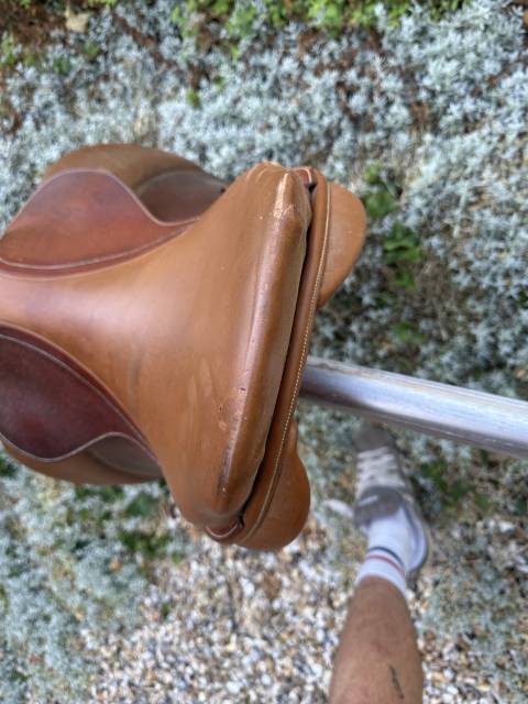 Selle Maroc 