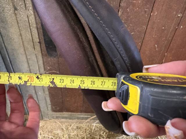 Selle Antares connexion 2023