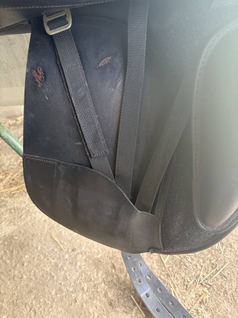Selle de dressage equiline 