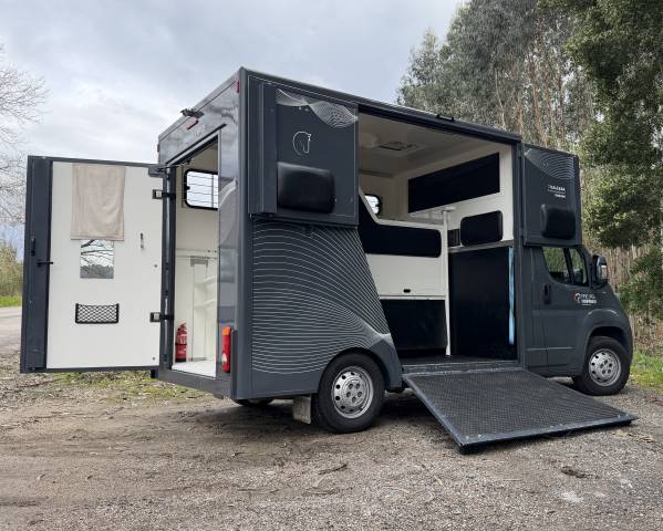 Camion VL Chevaux Citroen Junoer 2018 Occasion