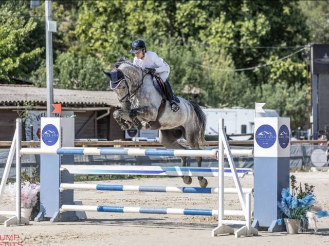 Grand avenir pour cet hongre de 7 ans gros moyen 