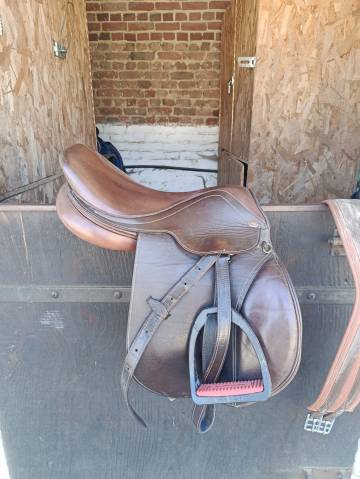 Selle 16,5 Eric thomas 