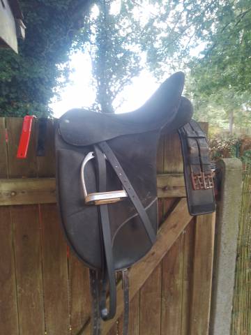 Selle Wintec dressage Isabelle Werth 17 pouces 