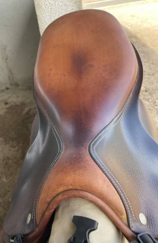 Selle Childeric SFE mixte 17&rsquo;