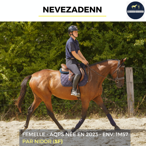 NEVEZADENN - AQPS - 3 ANS 