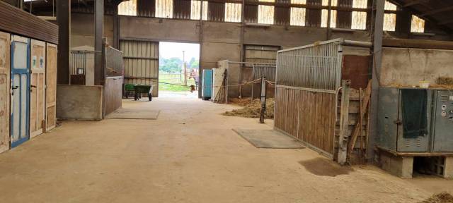 Pension chevaux Namur