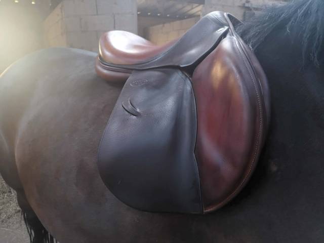 Selle devoucoux taille 17&rsquo;&acute;5 ann&eacute;e 2013