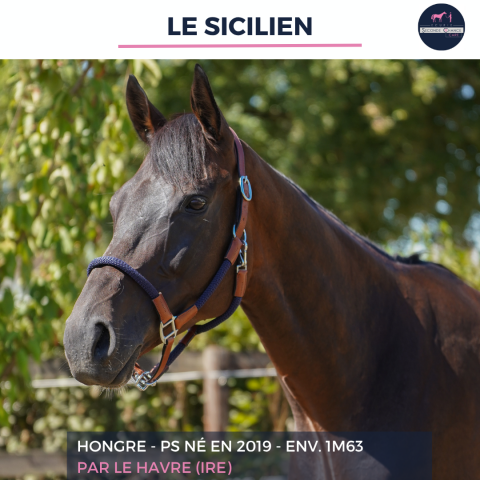 LE SICILIEN - PS - 7 ANS