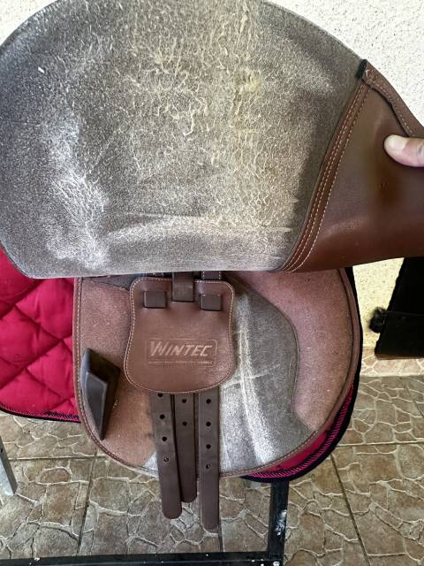 Selle Wintec