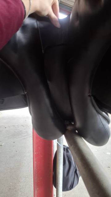 Selle de dressage Marjoman 17,5 pouces 