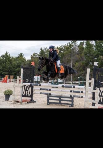 A VENDRE DORA DE LA PLUME JUMENT CONNEMARA ! 