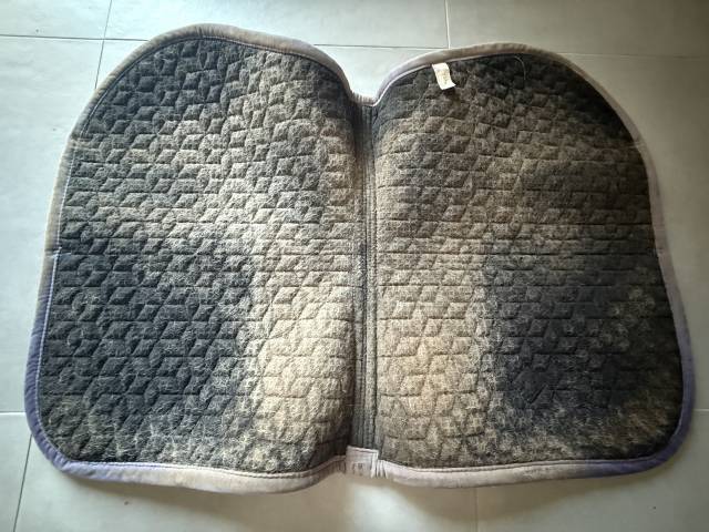 Tapis de selle Kentucky Horsewear Velvet violet FULL