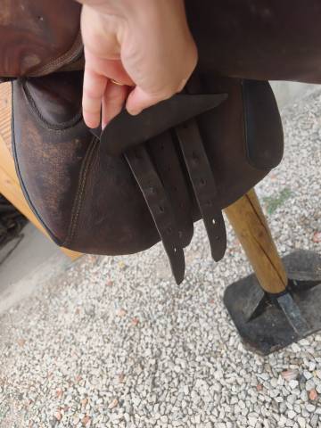 Selle forestier 17 brune