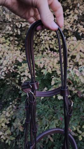Filet Time Rider taille cob