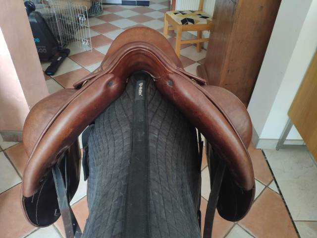 Darroze dressage 17