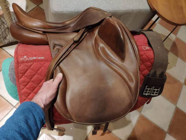 Darroze dressage 17