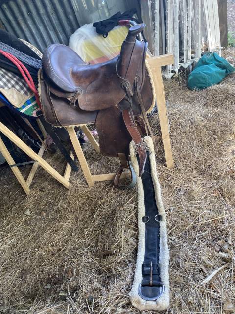 Selle western taille cob 