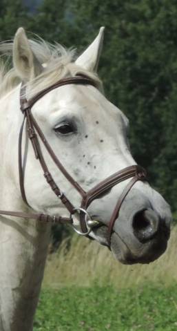 Filet en cuir