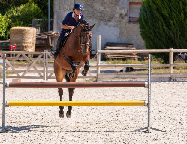 Jument - selle Fran&ccedil;ais - 10 ans - CSO / CCE - France