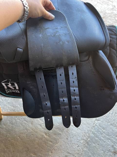 Selle forestier &agrave; vendre 