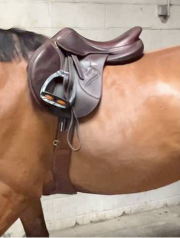 Selle Antar&egrave;s Connexion 17,5 &ndash; 3A+2 &ndash; 2022