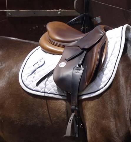 Selle Meyer 17 pouces - CSO
