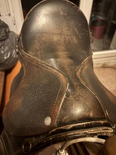 Selle shetland 
