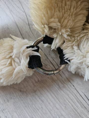 Licol Kentucky mouton