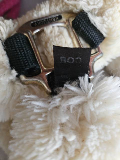 Licol Kentucky mouton