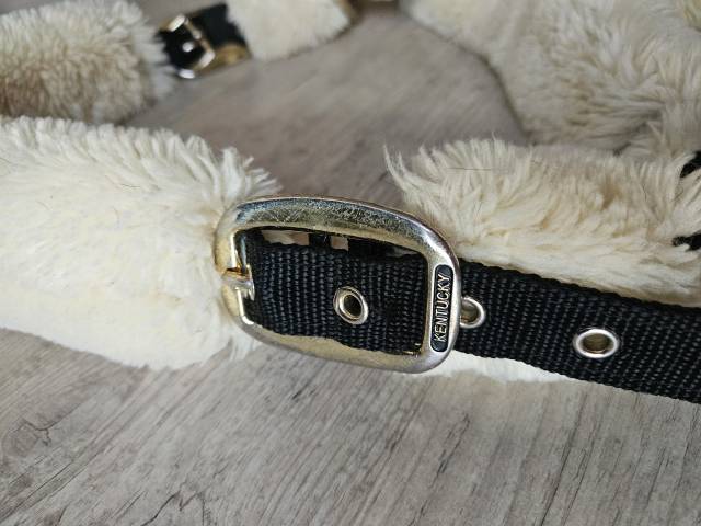 Licol Kentucky mouton