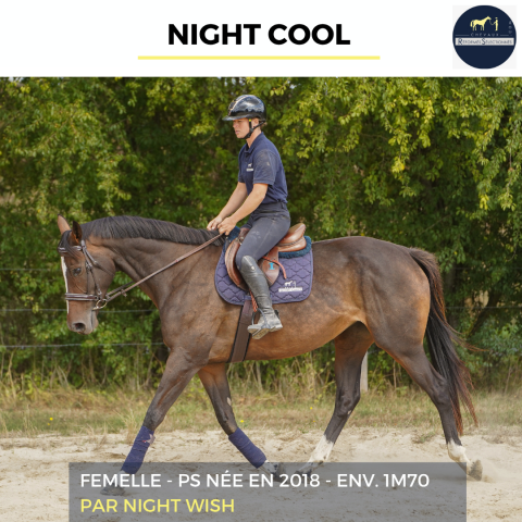 NIGHT COOL - PS - 8 ANS