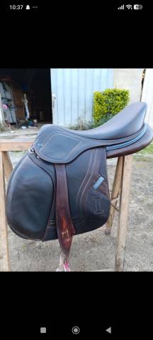 Selle Ikonic 