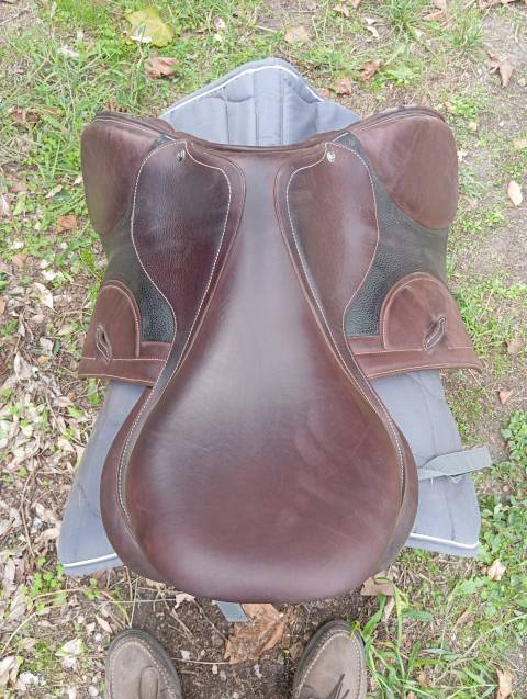 Selle Arion
