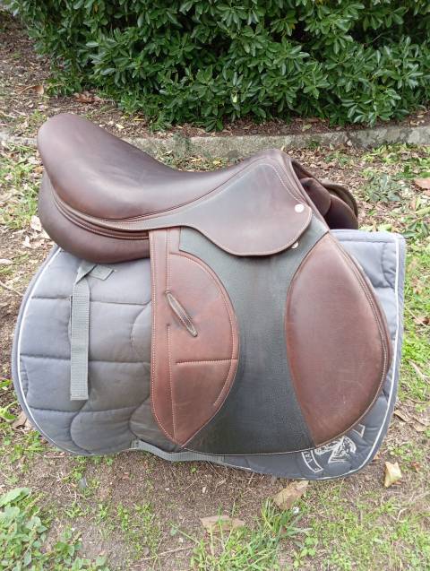 Selle Arion