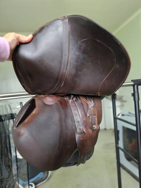 Selle antares connexion 
