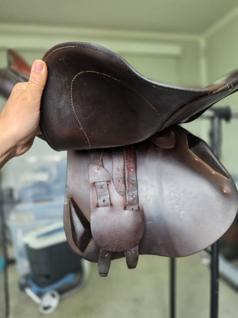 Selle antares connexion 
