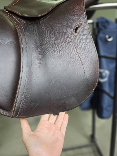 Selle antares connexion 