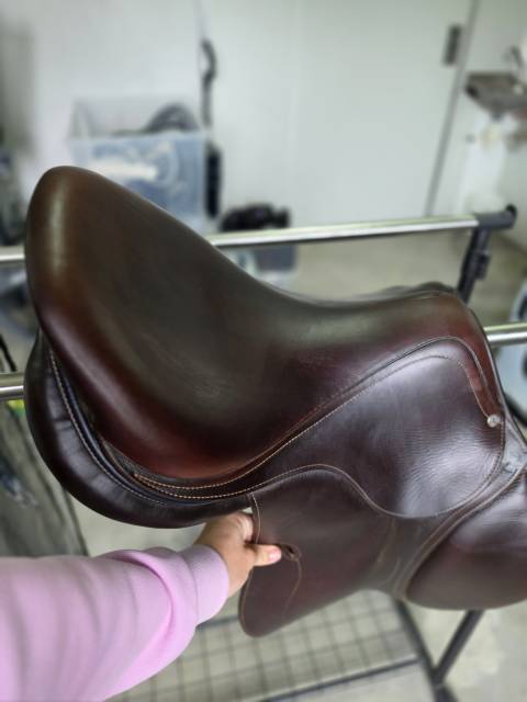 Selle antares connexion 