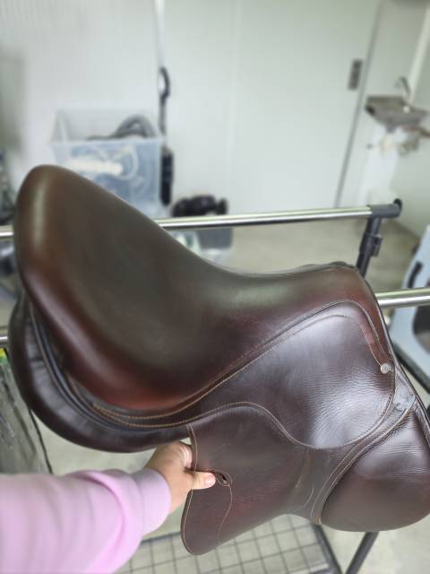 Selle antares connexion 