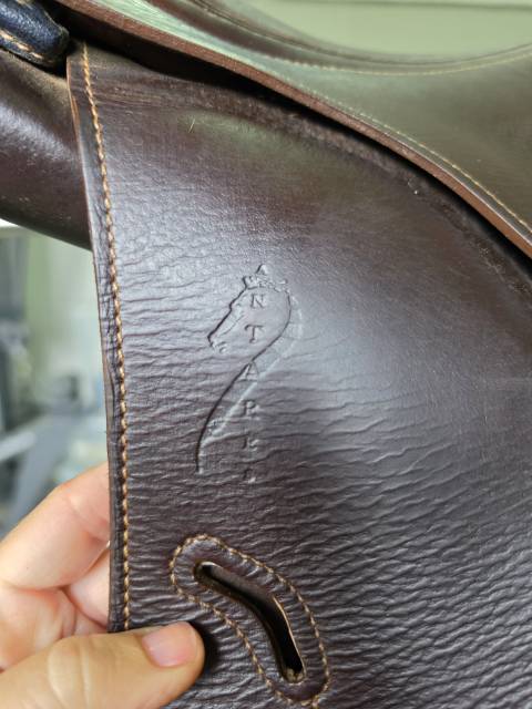 Selle antares connexion 